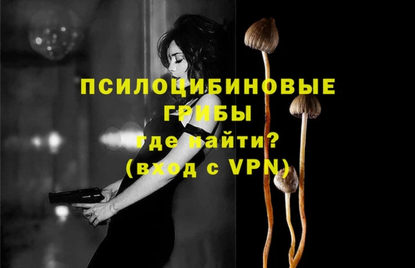не бодяженный Верхний Тагил