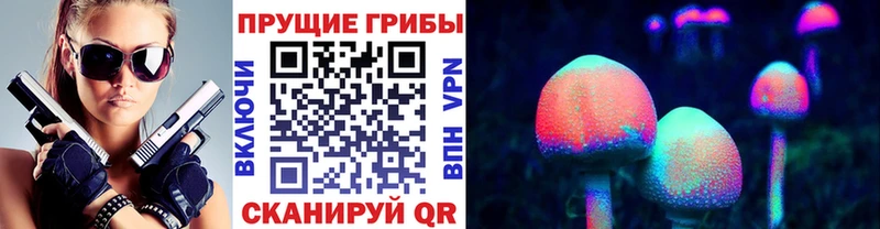 площадка формула  Мглин  Галлюциногенные грибы мухоморы 